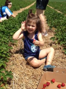 Elsie strawberry picking