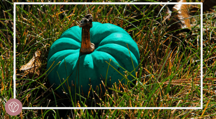 The Teal Pumpkin Project