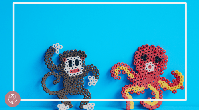Octopus VS Monkey – A Pregnancy Comparison