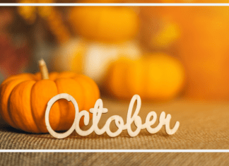 A Green Bay Mom’s Guide to the Month of October