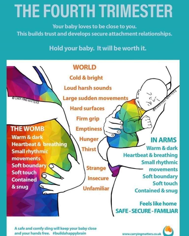 the fourth trimester infographic