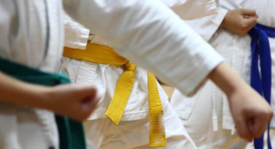 martial arts; picture of kids in karate poses with different colored belts