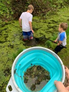 boys frog hunting Frog Catching: How-to and Tips