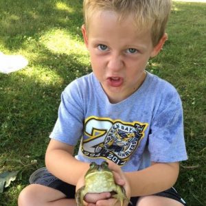 liam and bullfrog Frog Catching: How-to and Tips