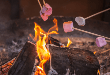 roasting marshmallows over the campfire