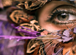woman's eye under a feather mask; imposter