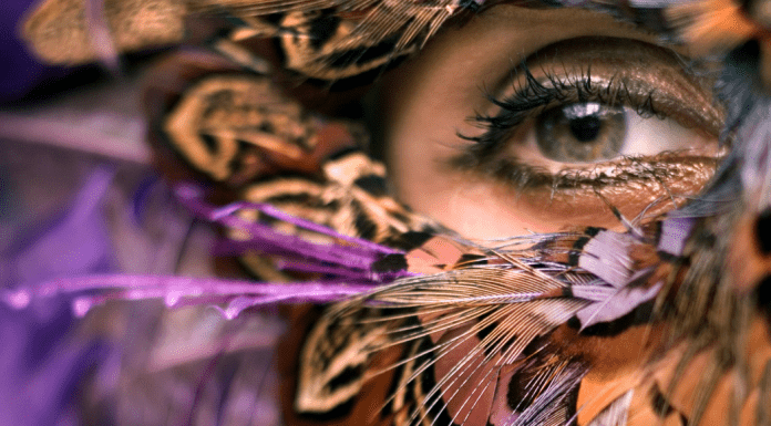 woman's eye under a feather mask; imposter