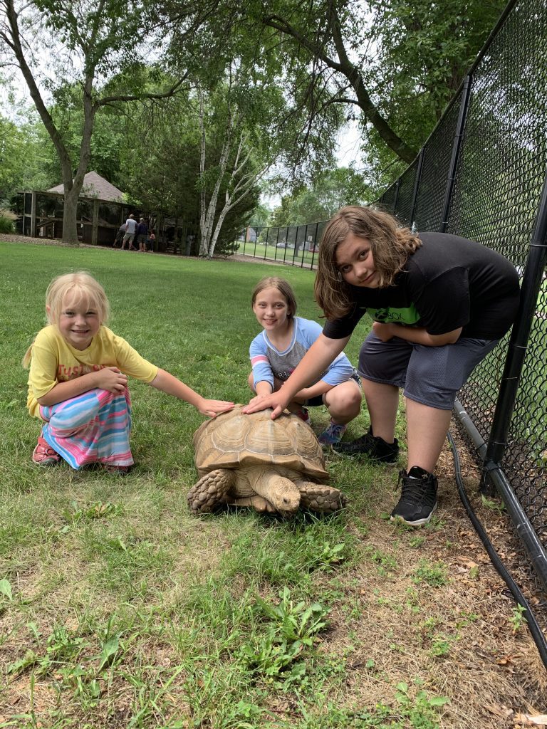 Menominee Park Zoo, The Most Adorable Free Zoo Around