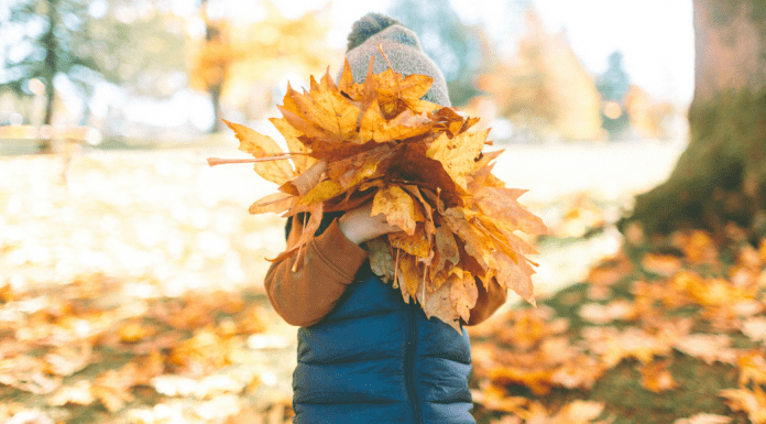 autumn tradition; child holding leaves over face