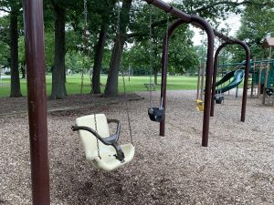 Park Preview - Astor Park swings