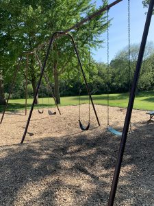 Park Preview - Danz Park swings
