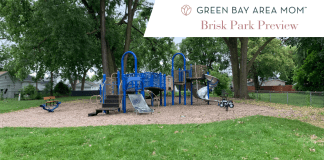 Park Preview - Brisk Park feature image