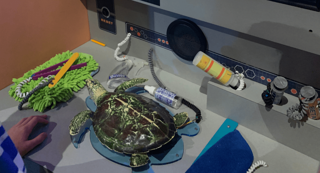 North Carolina Aquarium interactive turtles